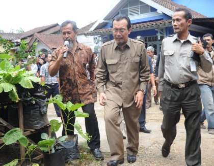 Mentan Minta Masyarakat Tenang, Bawang dan Cabai Mulai Panen